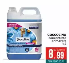 Coccolino - Concentrato Primavera