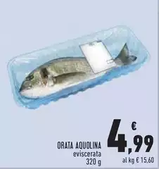 Aquolina - Orata
