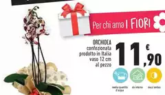 Orchidea - Orchidea -