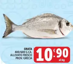 Orata Allevato Fresco Grecia