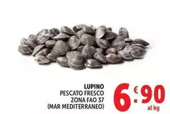 Lupino Pescato Fresco