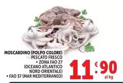 Moscardino (Polpo Colore) Pescato Fresco