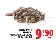 Mazzancolle Tropicali Allevato Decongelato Prov. Ecuador