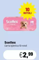 Scottex - Carta Igienica Scottex - Carta Igienica