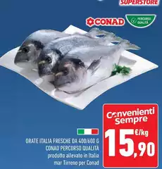 Conad - Orate Italia Fresche Da 400/600 G Percorso Qualità