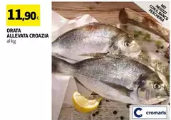 Cromaris - Orata Allevata Croazia