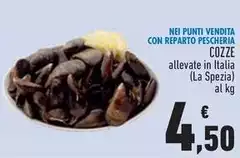 Cozze