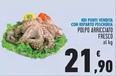 Polpo Arricciato Fresco