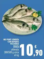 Orata