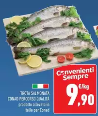 Conad - Trota Salmonata Percorso Qualità Conad - Trota Salmonata Percorso Qualità