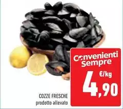 Cozze Fresche Cozze Fresche