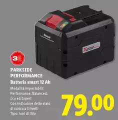Parkside Performance - Batteria Smart 12 Ah