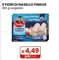 Findus - 5 Fiori Di Nasello 250 G Surgelato Findus - 5 Fiori Di Nasello 250 G Surgelato