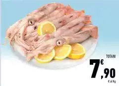 Totani Totani