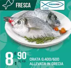 Philosofish - Orata G.400/600 Allevata In Grecia