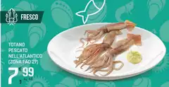 Totano Pescato Nella Atlantico
