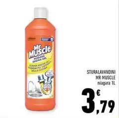 Mr muscle - Sturalavandini