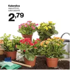 Kalandiva Kalandiva