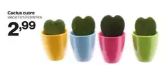 Cuore - Cactus Cuore - Cactus