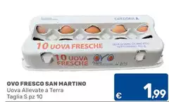Uova Allevate A Terra Taglia Uova Allevate A Terra Taglia