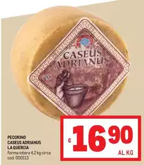 La quercia - Pecorino Caseuse Aorianus La quercia - Pecorino Caseuse Aorianus