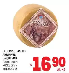 La quercia - Pecorino Caseus Adrianus La quercia - Pecorino Caseus Adrianus