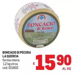 La quercia - Boncacio Di Pecora La quercia - Boncacio Di Pecora