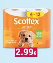 Scottex - La Maxi