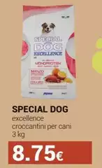 Monge - Special Dog