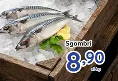 Sgombri Sgombri