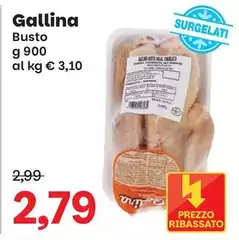 Gallina - Busto Gallina - Busto