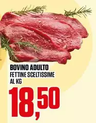 Bovino Adulto
