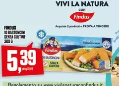 Findus - 10 Bastoncini Senza Glutine