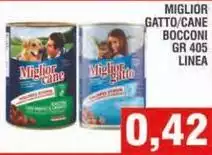 Migliori - Gatto Cane 