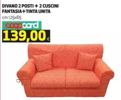 Divano 2 Posti + 2 Cuscini Fantasia + Tinta Unita