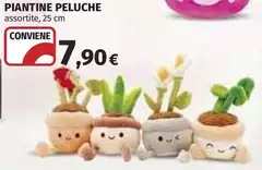Piantine Peluche Piantine Peluche