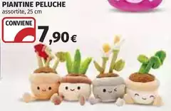 Piantine Peluche Piantine Peluche