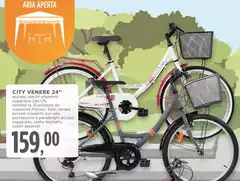 City Venere 24"