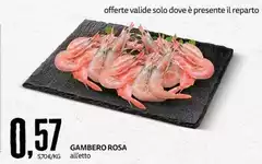 Solo - Gambero Rosa Solo - Gambero Rosa
