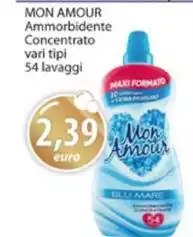 Maxi - Ammorbidente Concentrato