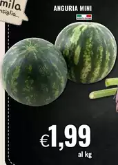 Anguria Mini Anguria Mini