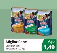 Cibo Per Cani Bocconcini Cibo Per Cani Bocconcini