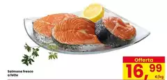 Salmone Fresco Salmone Fresco