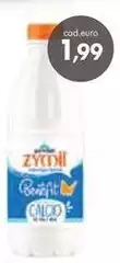 Zycini Zycini