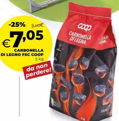 Coop - Carbonella Di Legno Fsc