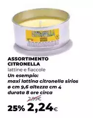 Assortimento Citronella
