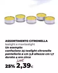 Assortimento Citronella
