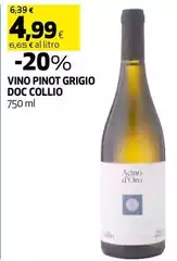 Acino D'Oro - Vino Pinot Grigio DOC