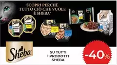Sheba - Su Tutti I Prodotti Sheba - Su Tutti I Prodotti