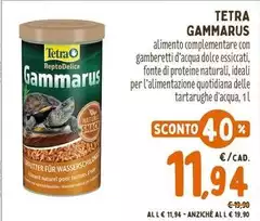 Tetra -  Gammarus